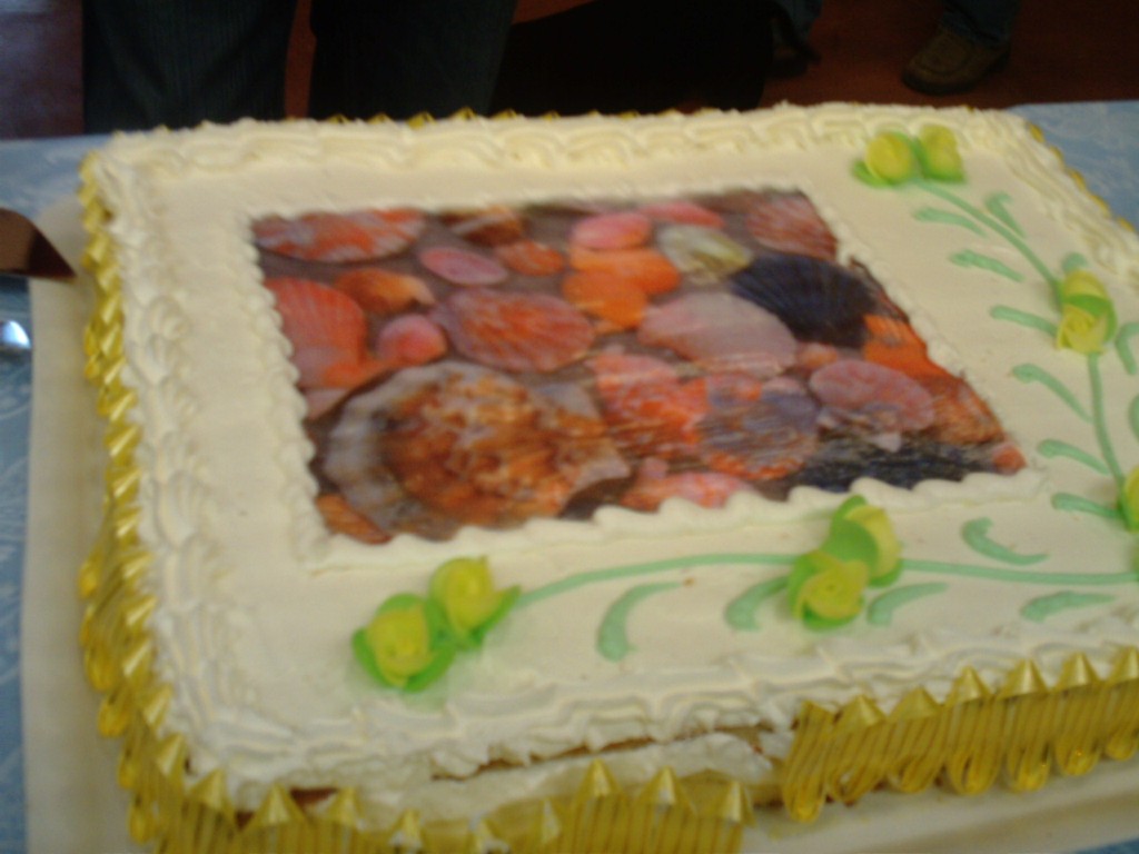 un salto a Collesalvetti ...